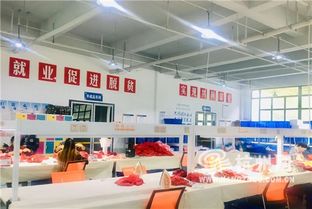 浙江人在阿壩 產業扶貧 直通車 義烏的原料,遠赴汶川加工